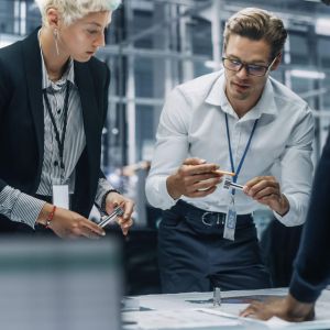 Senior Product Engineer (Project Leader)